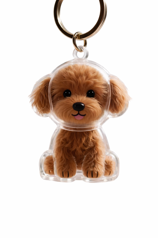 Pet Keychain